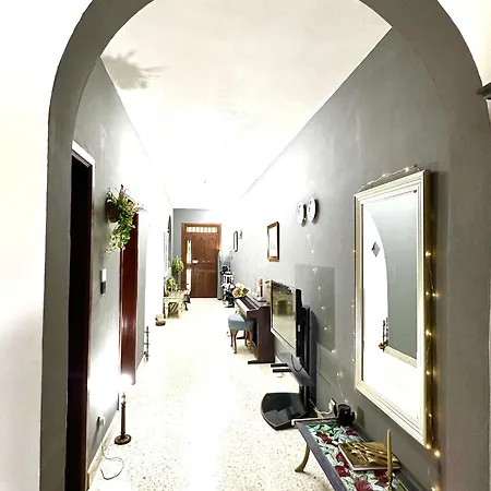 Cozy Hostel